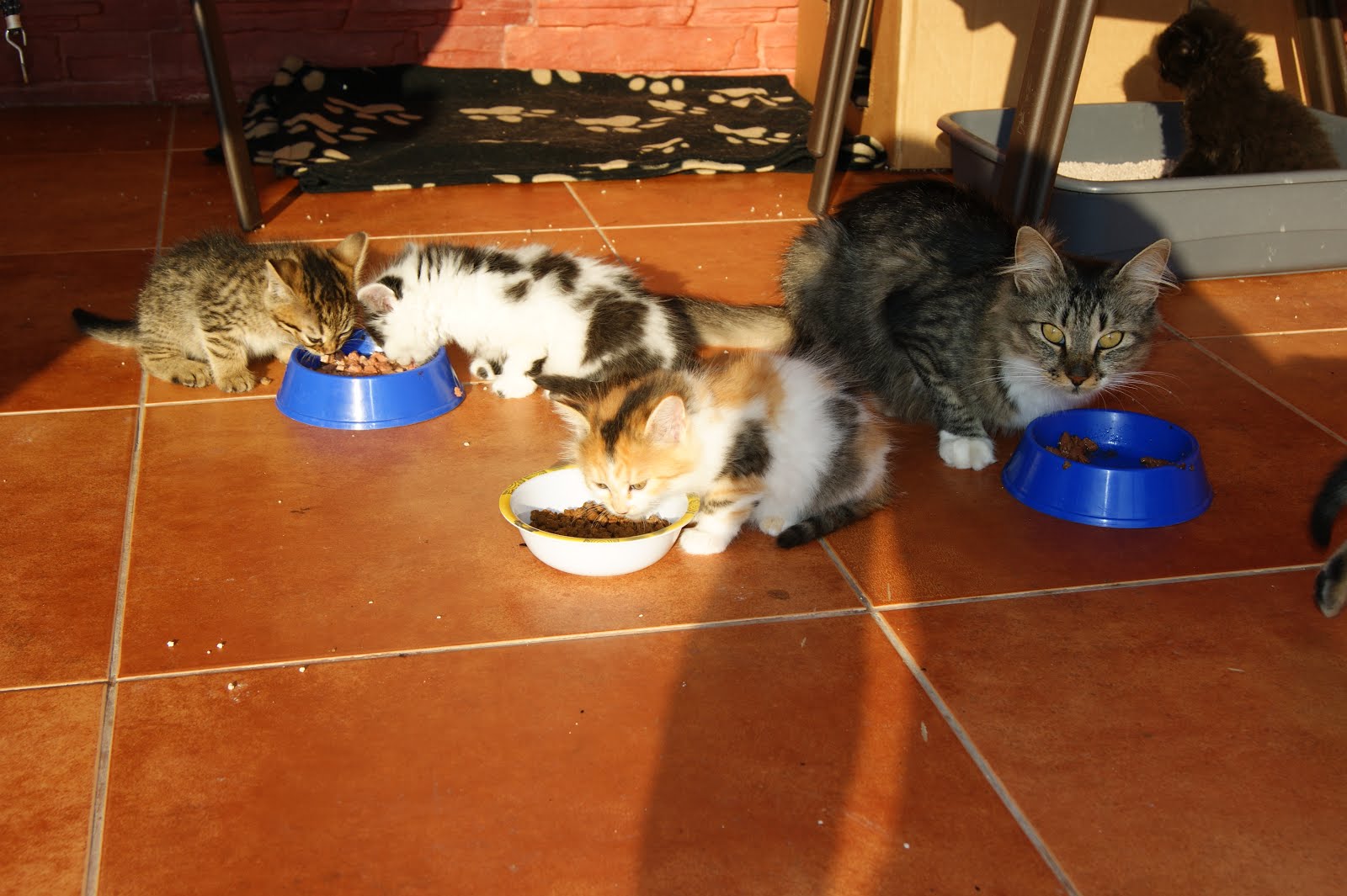 Red Baron S Blog August 2012