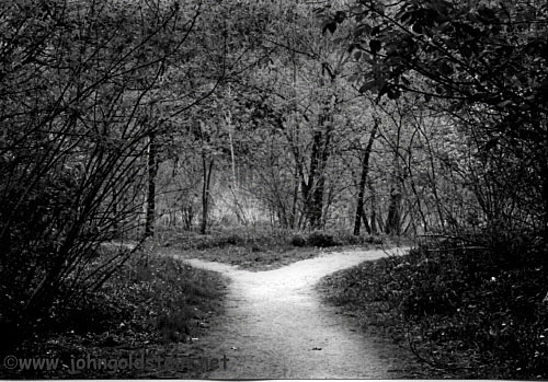 choosing between two paths in the road not taken by robert frost Blog cart the road not taken - robert frost it reminds us what's important in the poem – the concept of choosing between two different paths. choosing between two paths in the road not taken by robert frost Blog cart the road not taken - robert frost it reminds us what's important in the poem – the concept of choosing between two different paths.