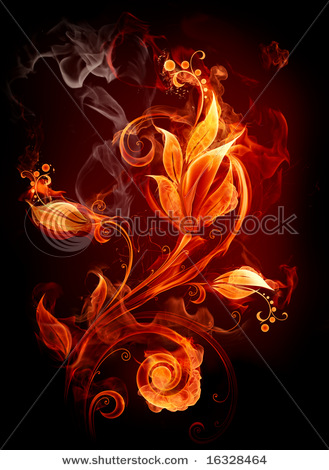 Flowers Online on Stock Photo Fire Flower 16328464 Jpg