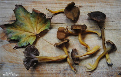 tapas faciles recette espagnol chanterelles legumes cuisine saine maigrir