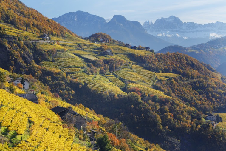 Trentino Alto-Adige