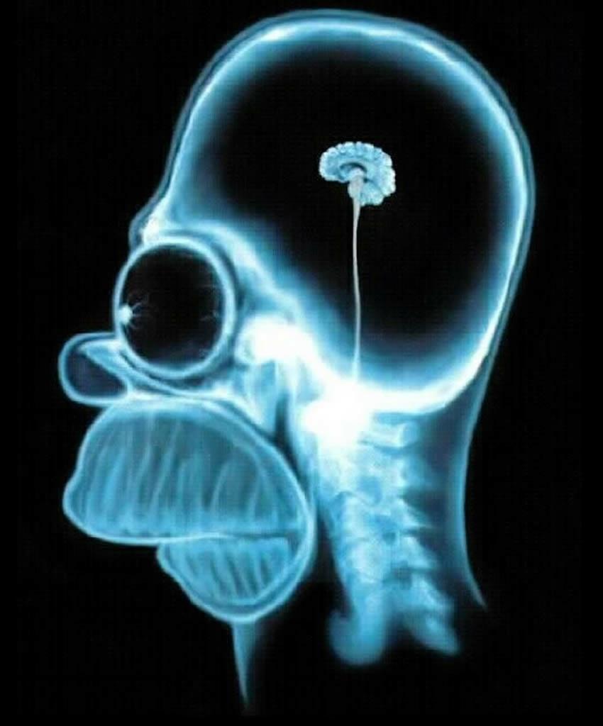 strangepegs how to be an x ray technician xray technicia
