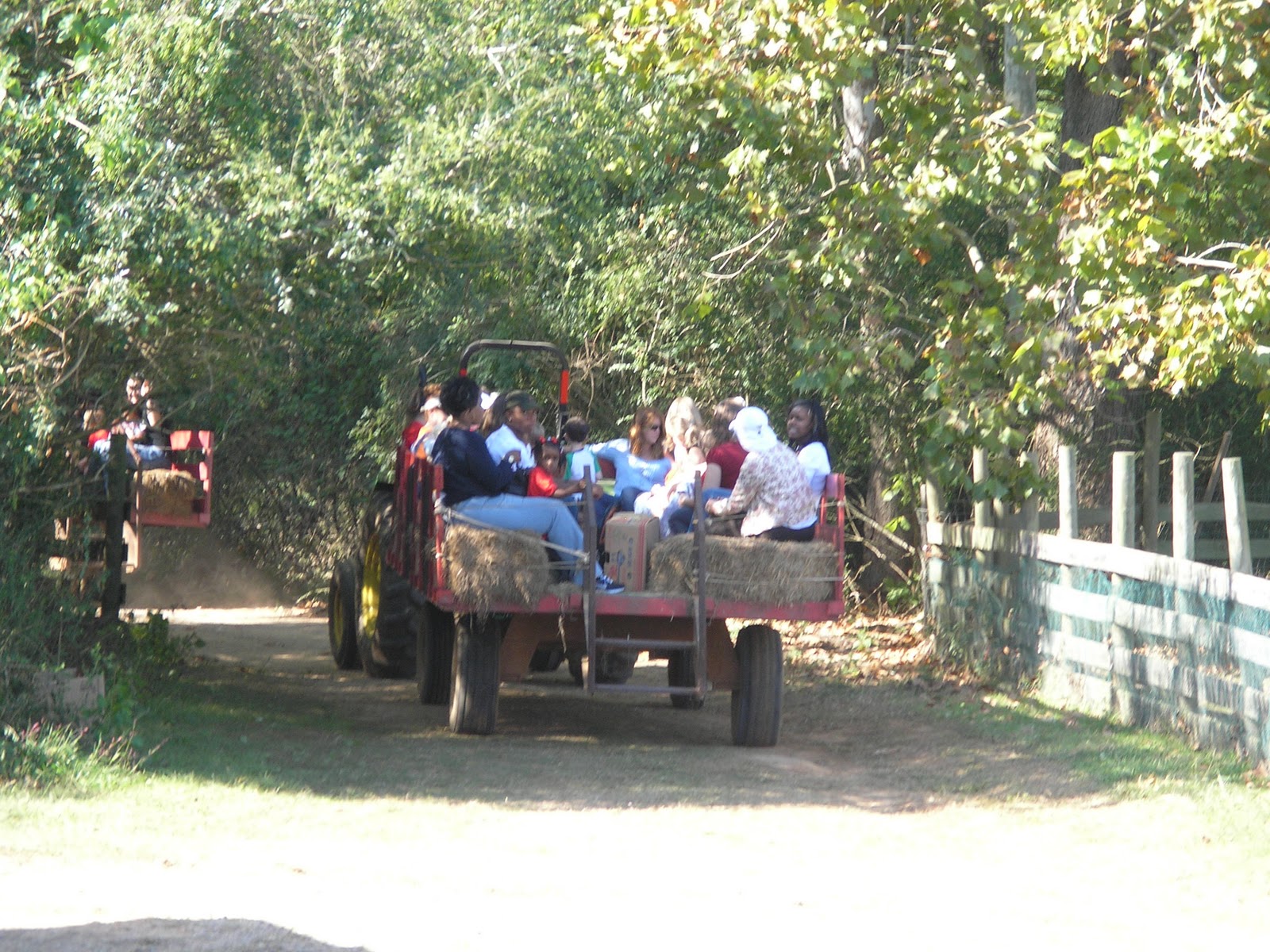 Alabama Empty Nester Old Baker Farm