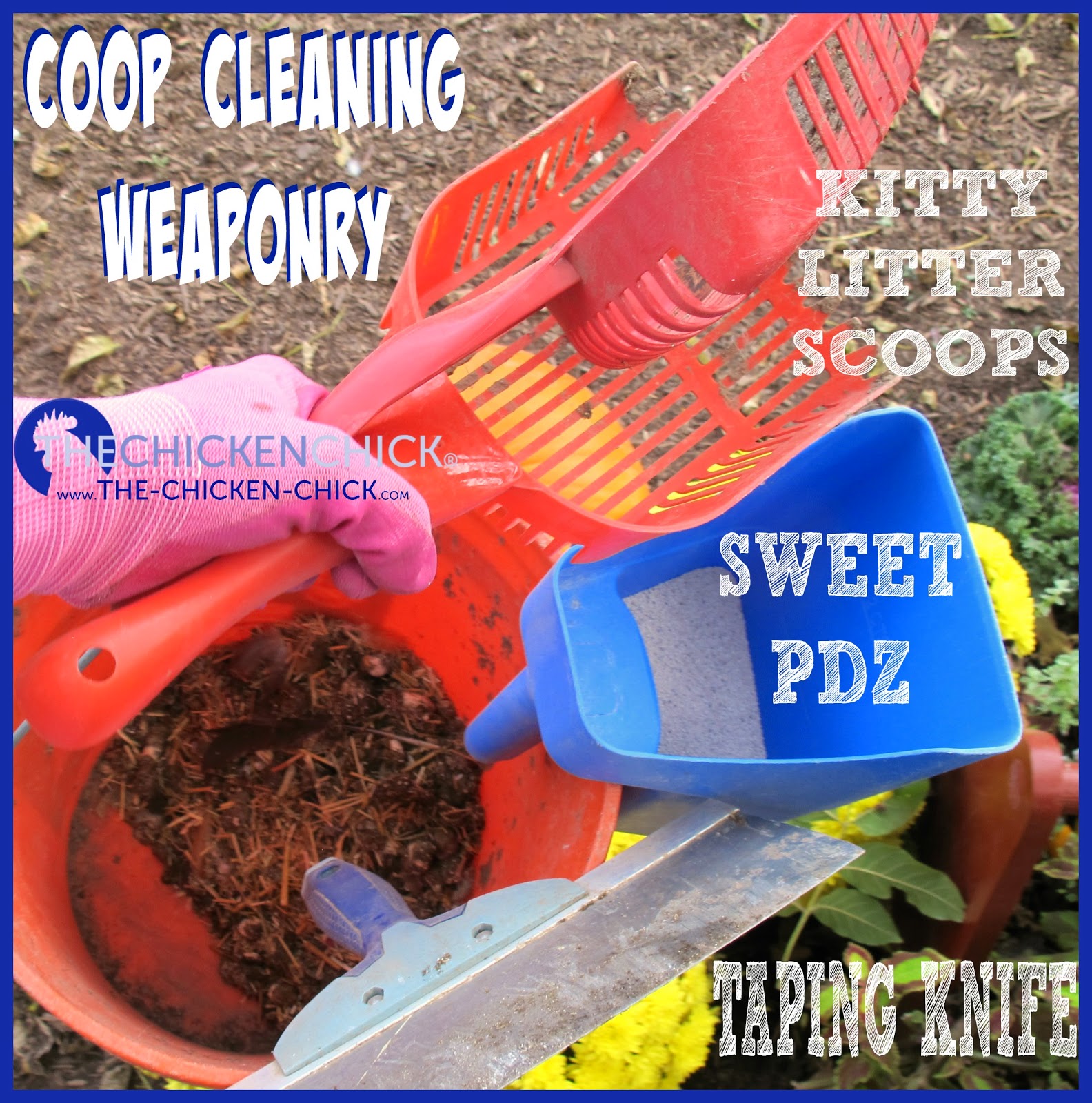 The Chicken Chick® Chicken Coop Litter Sand, the Litter Superstar