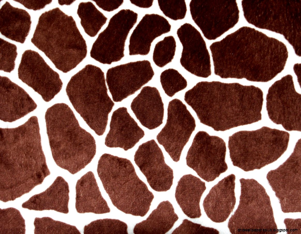 giraffe print giraffe print