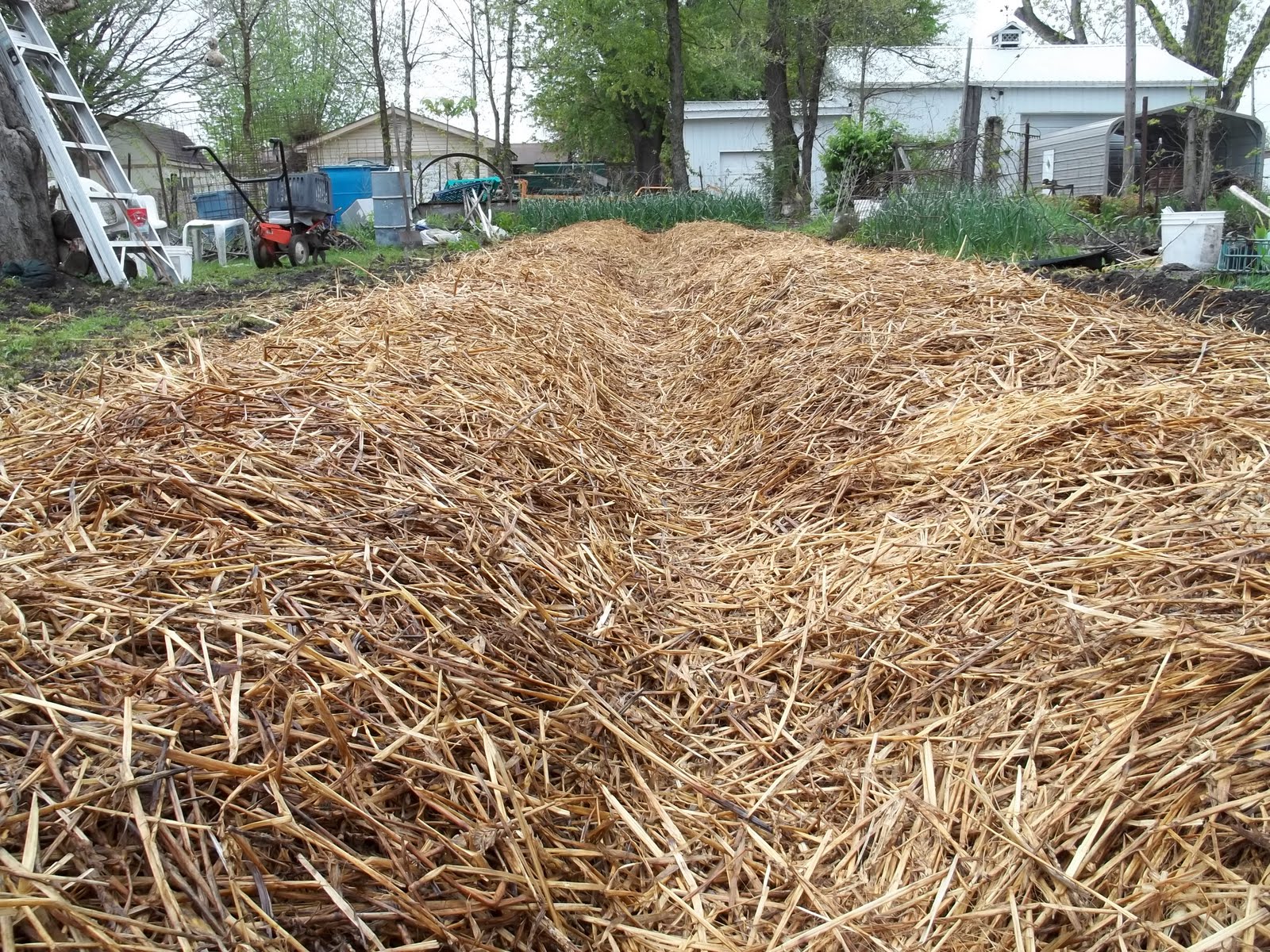 Mounded Garden