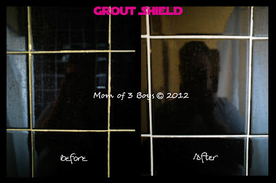 Grout Shield