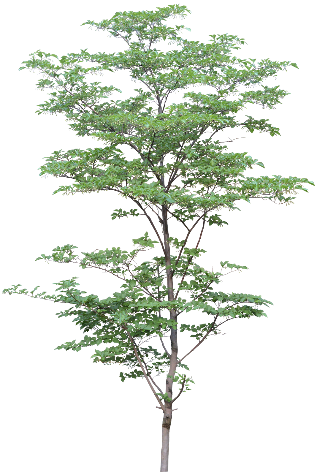 Mis diseños PSP: diciembre 2013