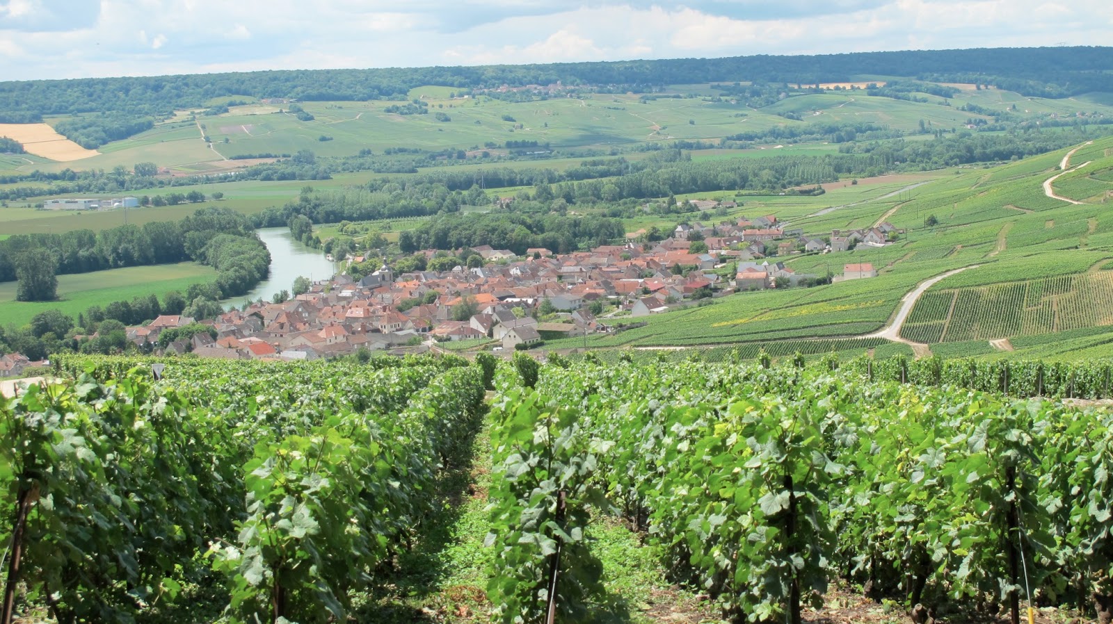 The tasty side to life The visitor's guide to Champagne