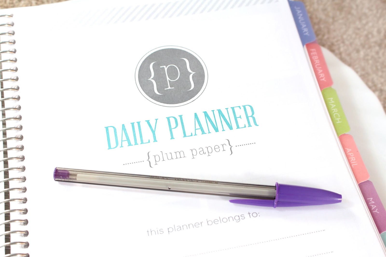 Plum Paper 2015 Planner Review Part 1 IndiaRobyn