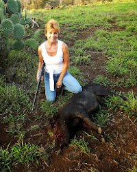 Wild Boar hunting with catch dogs, Maui, Hawaii,  2013