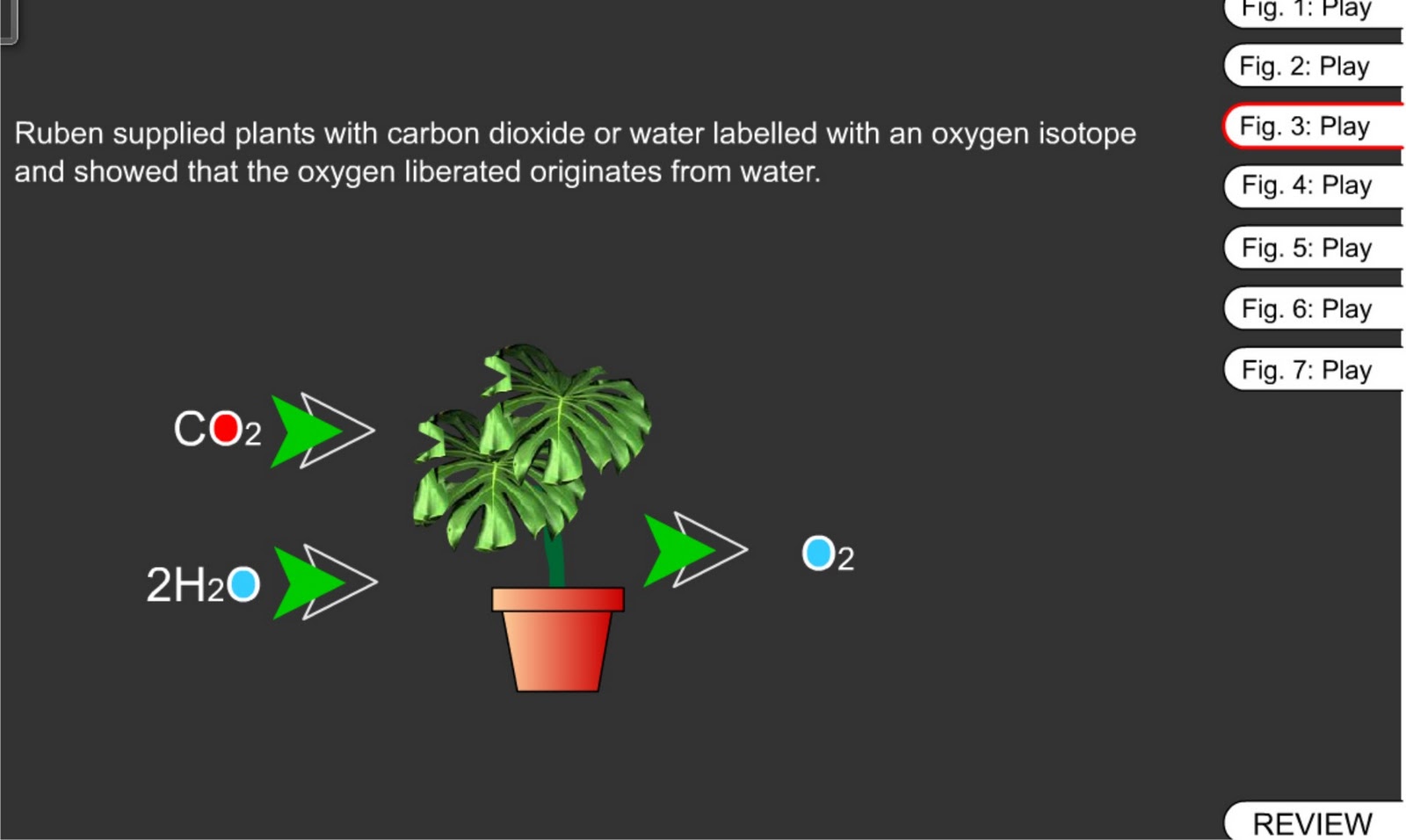 photosynthesis process.swf / Proses Fotosintesis.swf