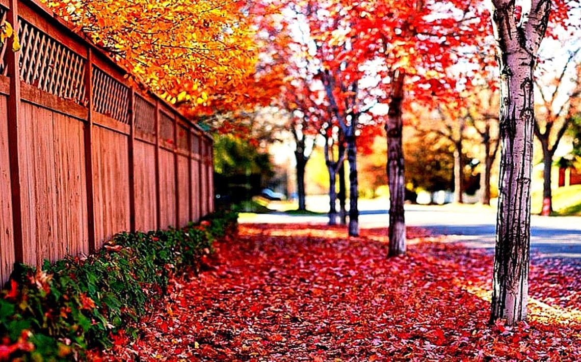 Wallpaper For Android Mobile Wallpapers Wallpaper For Android Mobile Wallpapers