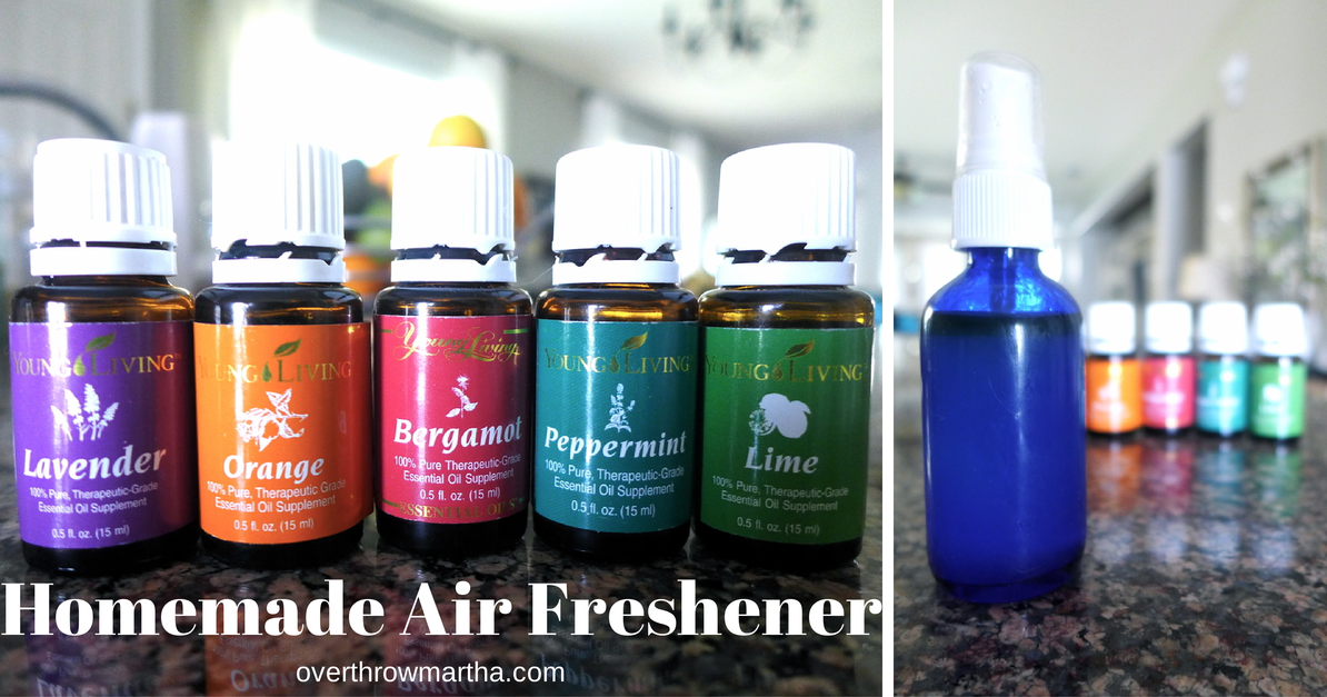 Homemade Air Freshener Recipe Overthrow Martha