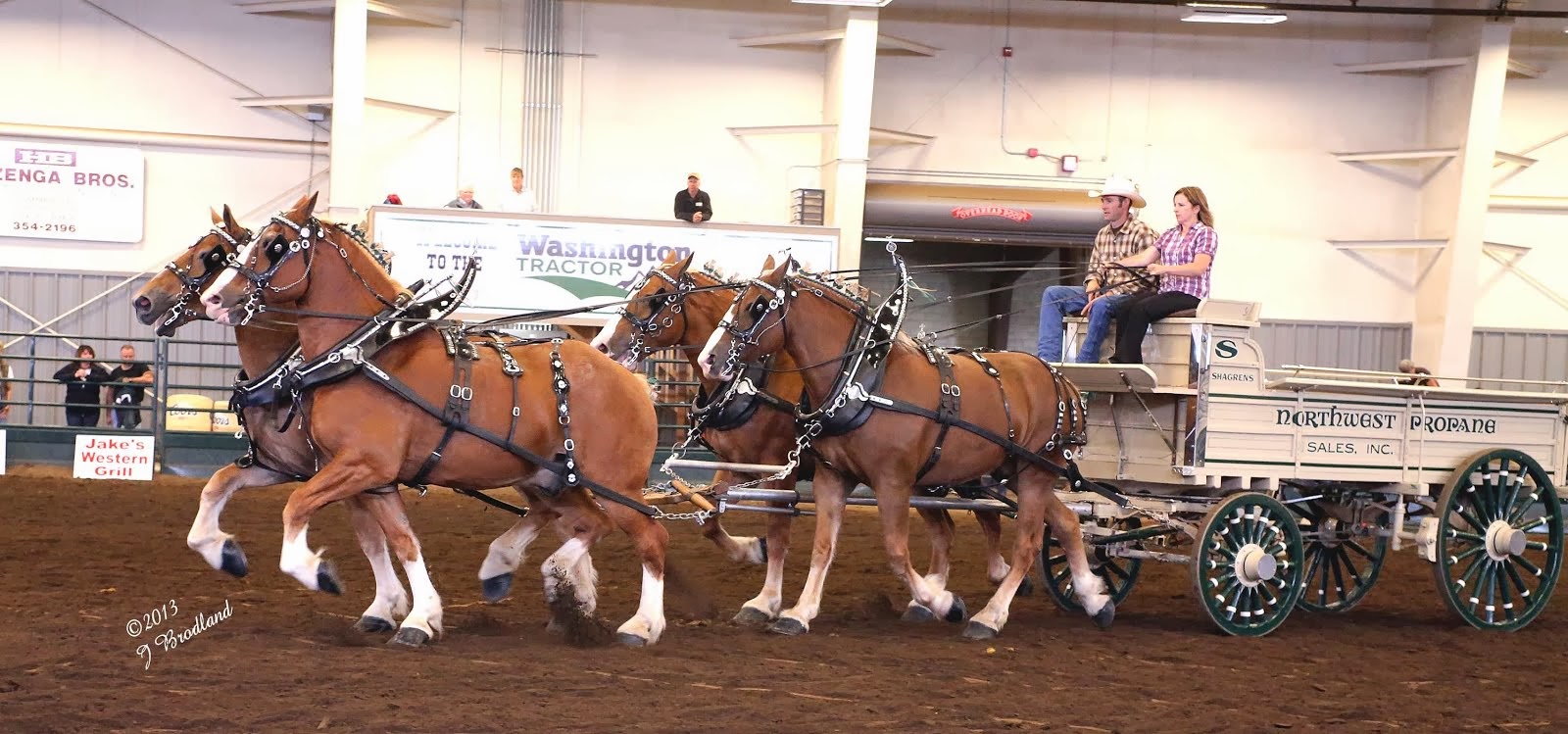 Colleen Coleman, Clinician - Lynden, WA 2013