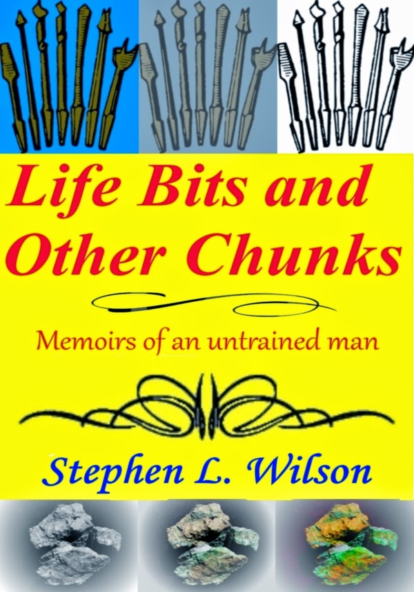 Life Bits and Other Chunks: Memoirs of an untrained man