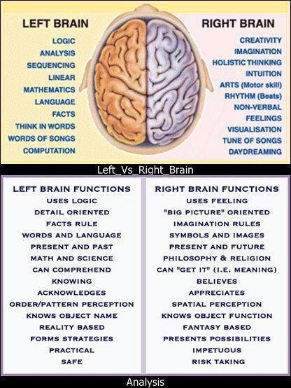 Right Brain Functions Right Brain Characteristics - Veera Vista