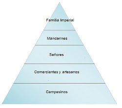 Organización Social