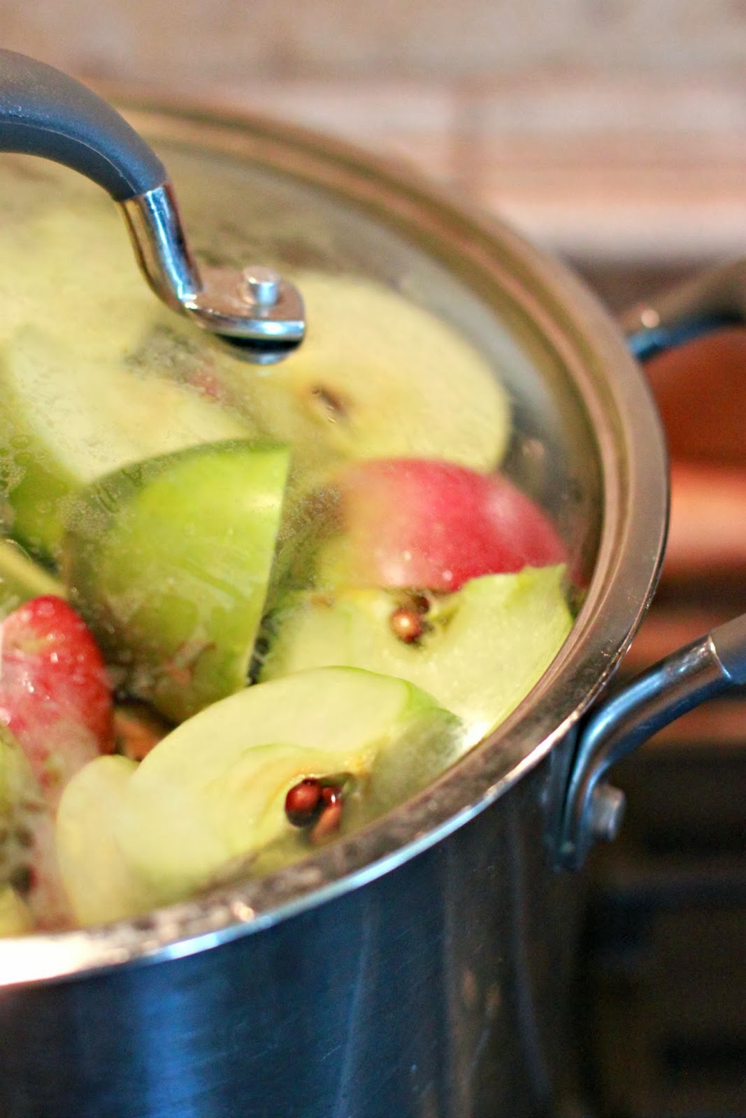 Larissa Another Day How to Can Applesauce