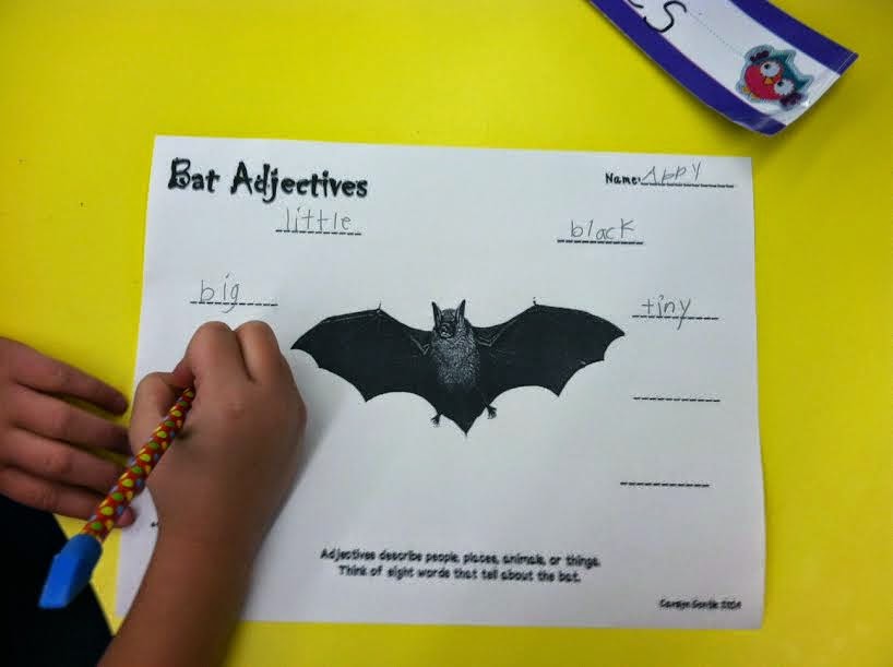Carolyn's Classroom Bat Week in Mrs. Gentile's Class!