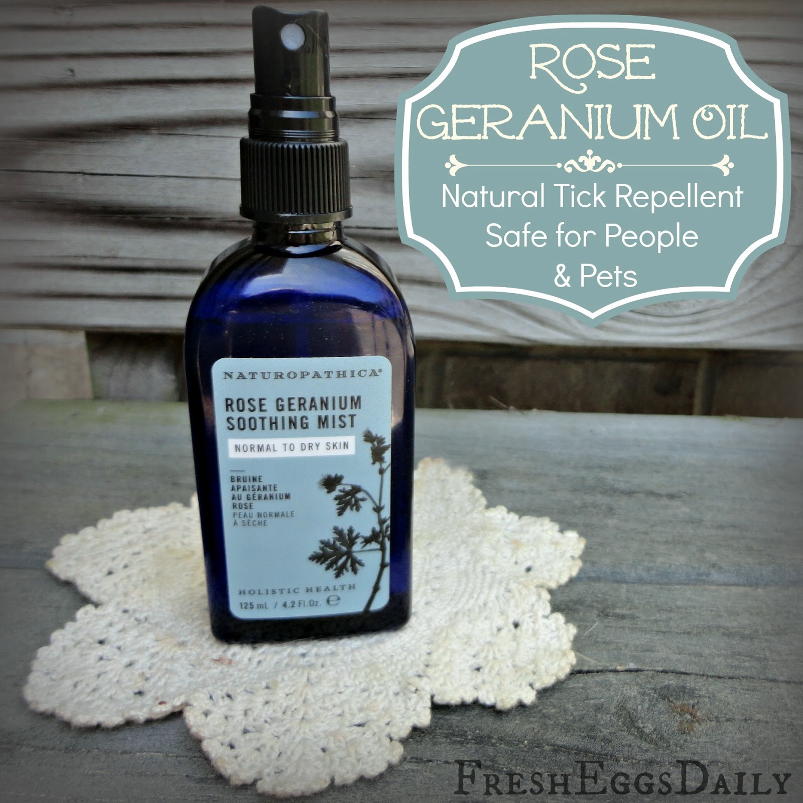 Natural Pest Control Safe for Chickens, Other Pets and People Fresh