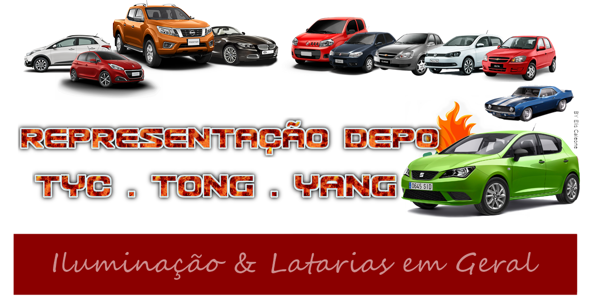 REPRESENTAÇÃO DEPO - TYC - TONG-YANG