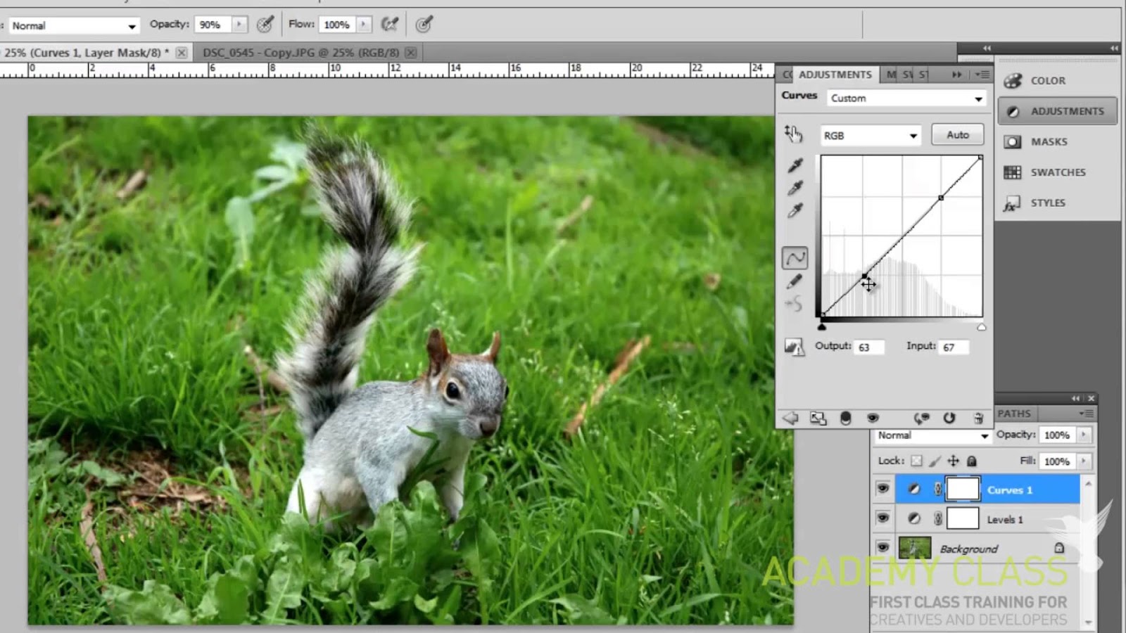 adobe photoshop tutorials for beginners free