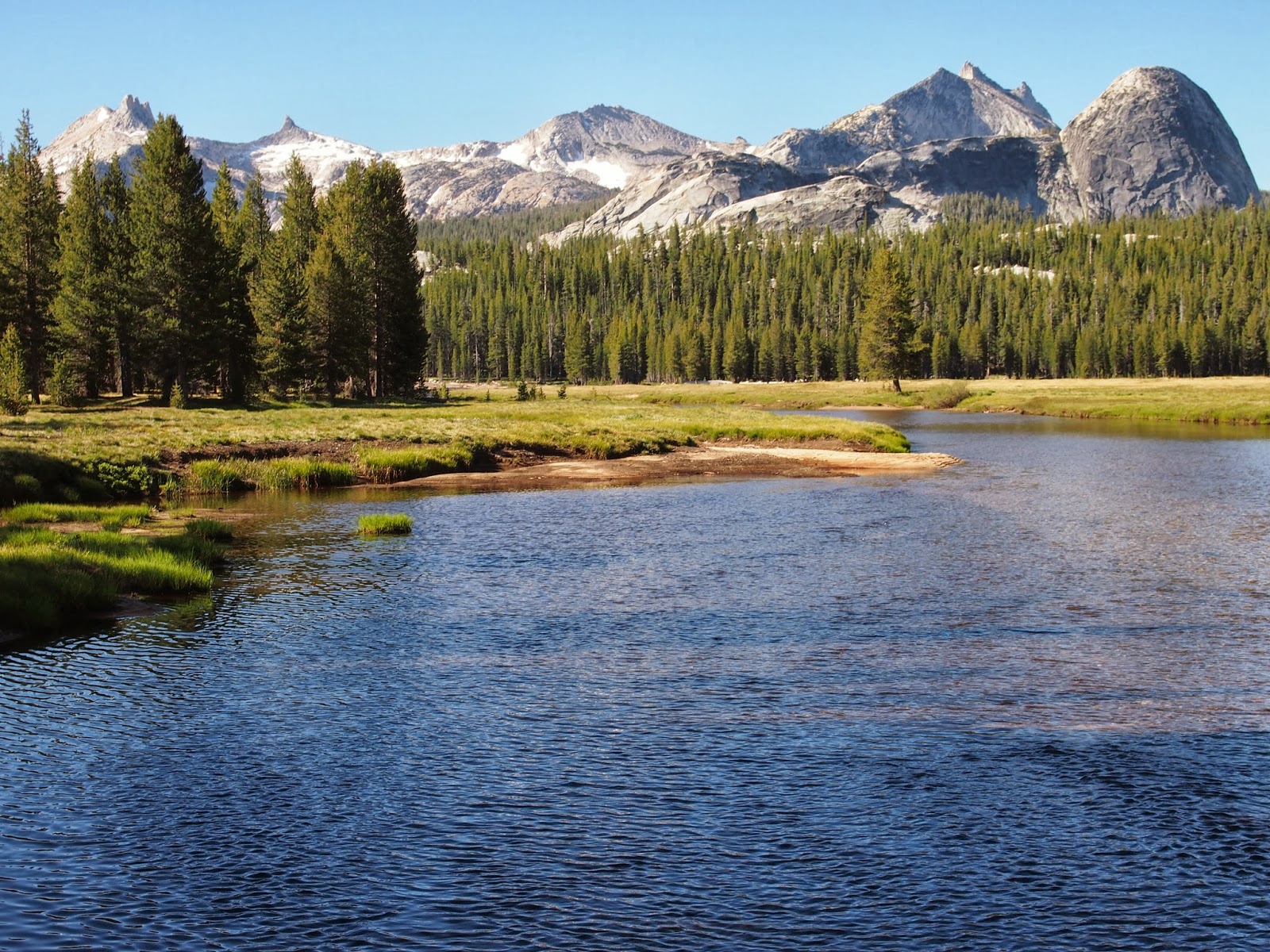 Sierra Hikes! Day 65 Tuolumne Meadows to Miller Lake