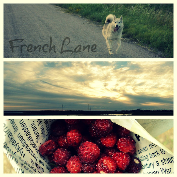 [French Lane]