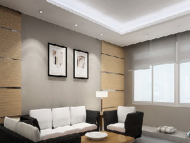 LIVING ROOM FURNITURE: May 2011