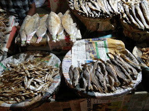 "Dry Fish" sold in Paltan Bazaar fish market in Guwahati