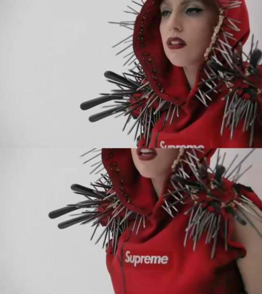 Lady Gaga Supreme Bag. Terry Richardson+Lady Gaga=How