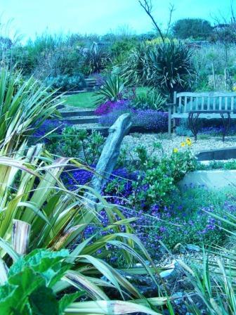 seaside gardening