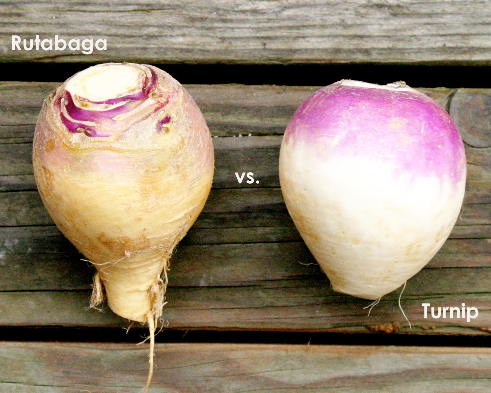 The Overlooked Beauties and Their Health Benefits....ROOT ... The Overlooked Beauties and Their Health Benefits....ROOT ...