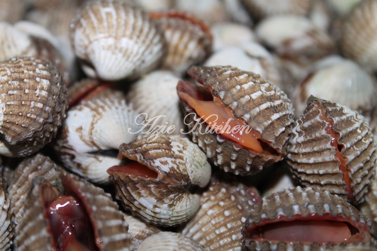 Kerang Rebus Untuk Aween Azie Kitchen