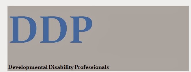 Developmental Disability Professional Blog