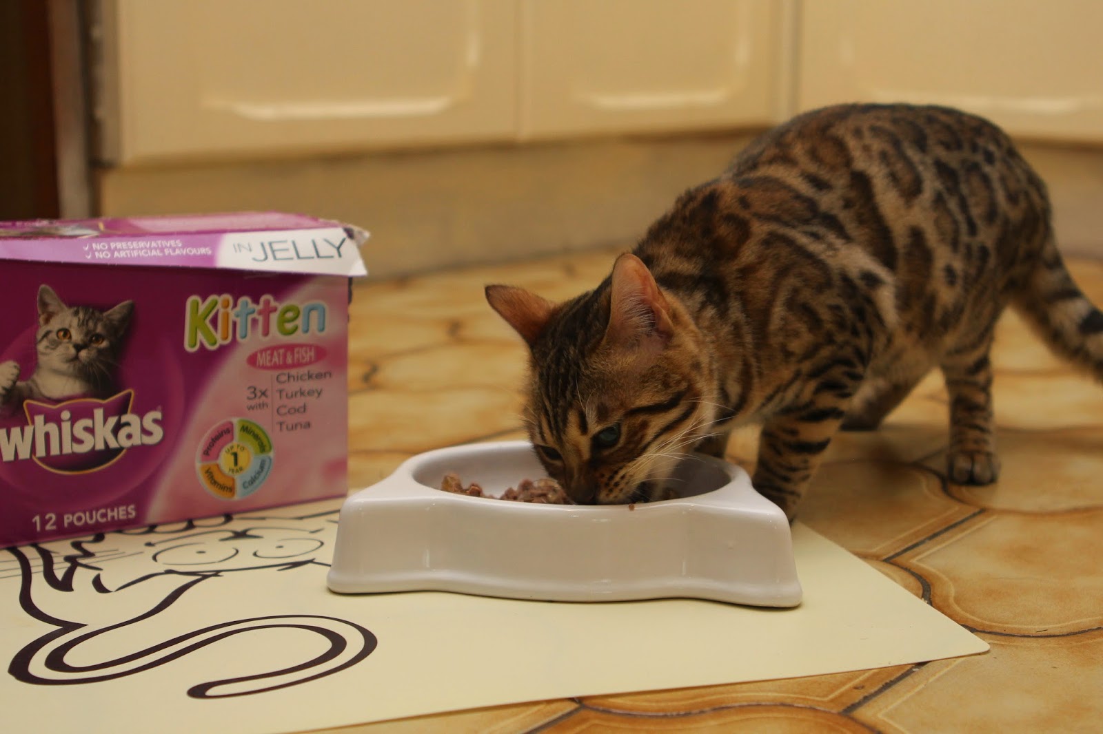 Team Stokey Whiskas Kitten Food