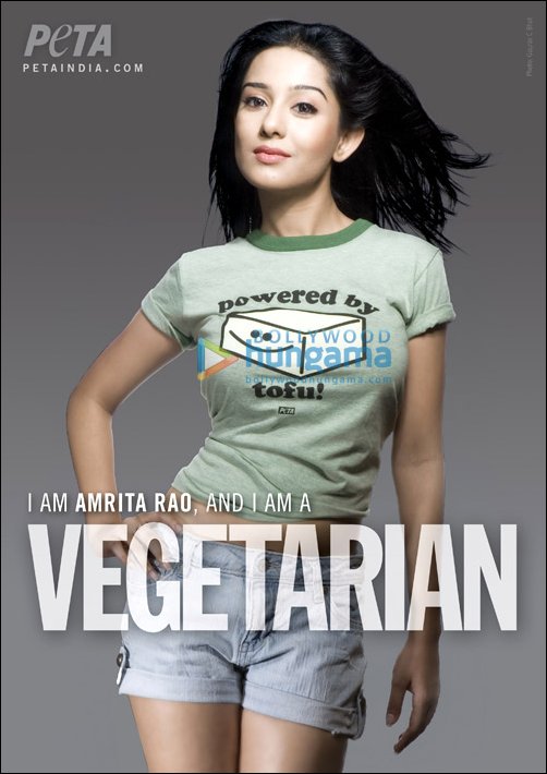 Amrita Rao New Vegetarian Ad For Peta - SEXY Baby Amrita Rao Pictures - Famous Celebrity Picture 