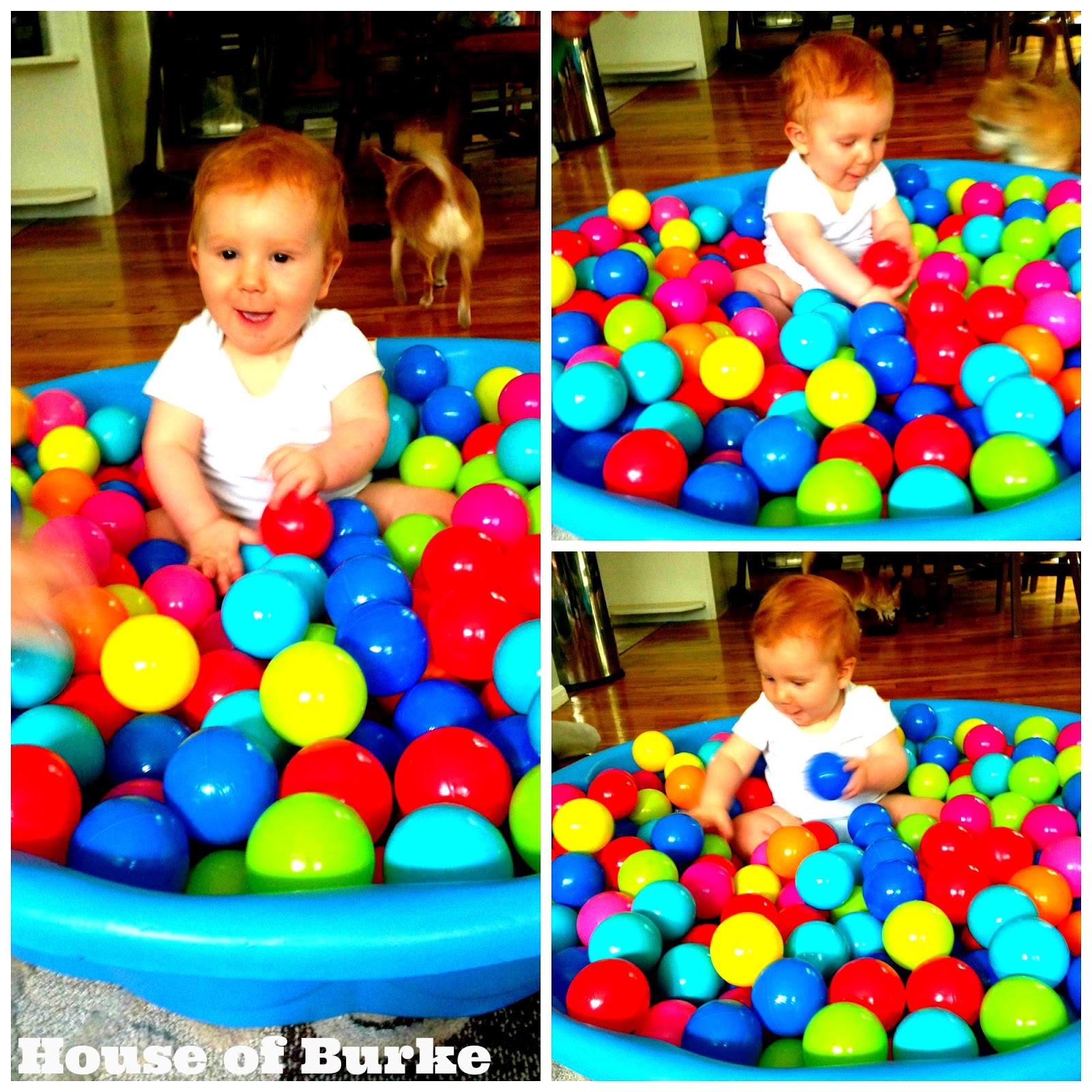 House of Burke Sensory Ball Pit for Baby Sensory Saturday