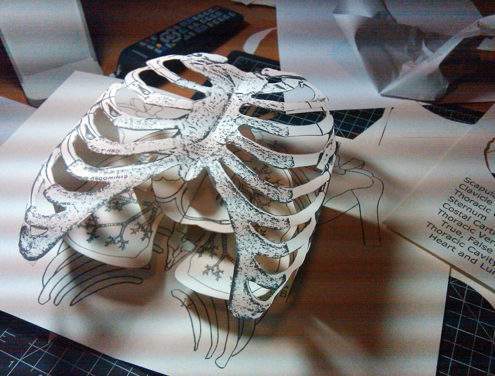 傅三三 Fusansan's Blog Rib Cage Popup, cause you never know when you'll