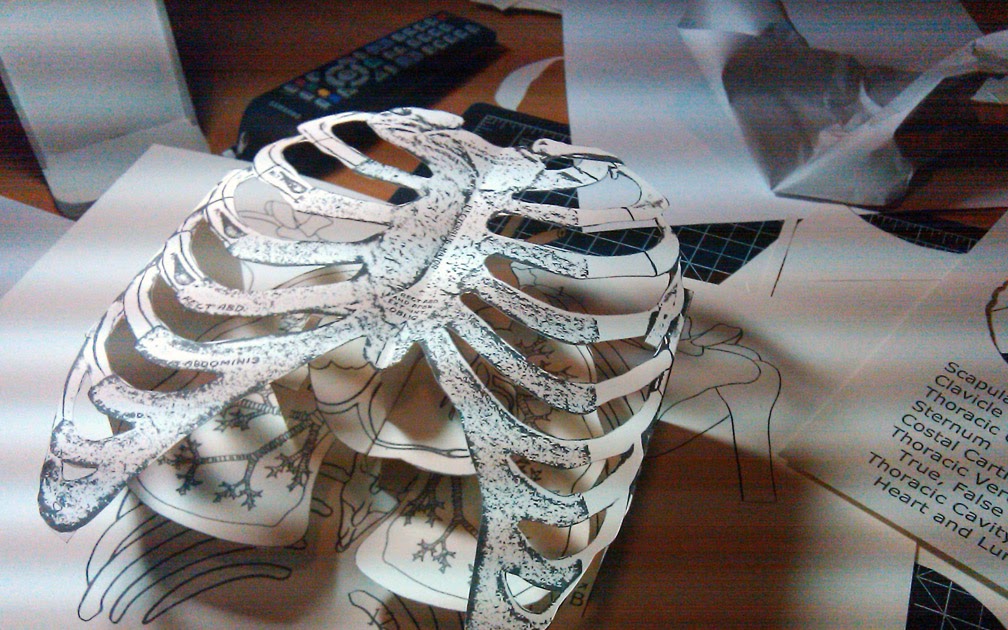 傅三三 Fusansan's Blog Rib Cage Popup, cause you never know when you'll need a foldable ribcage