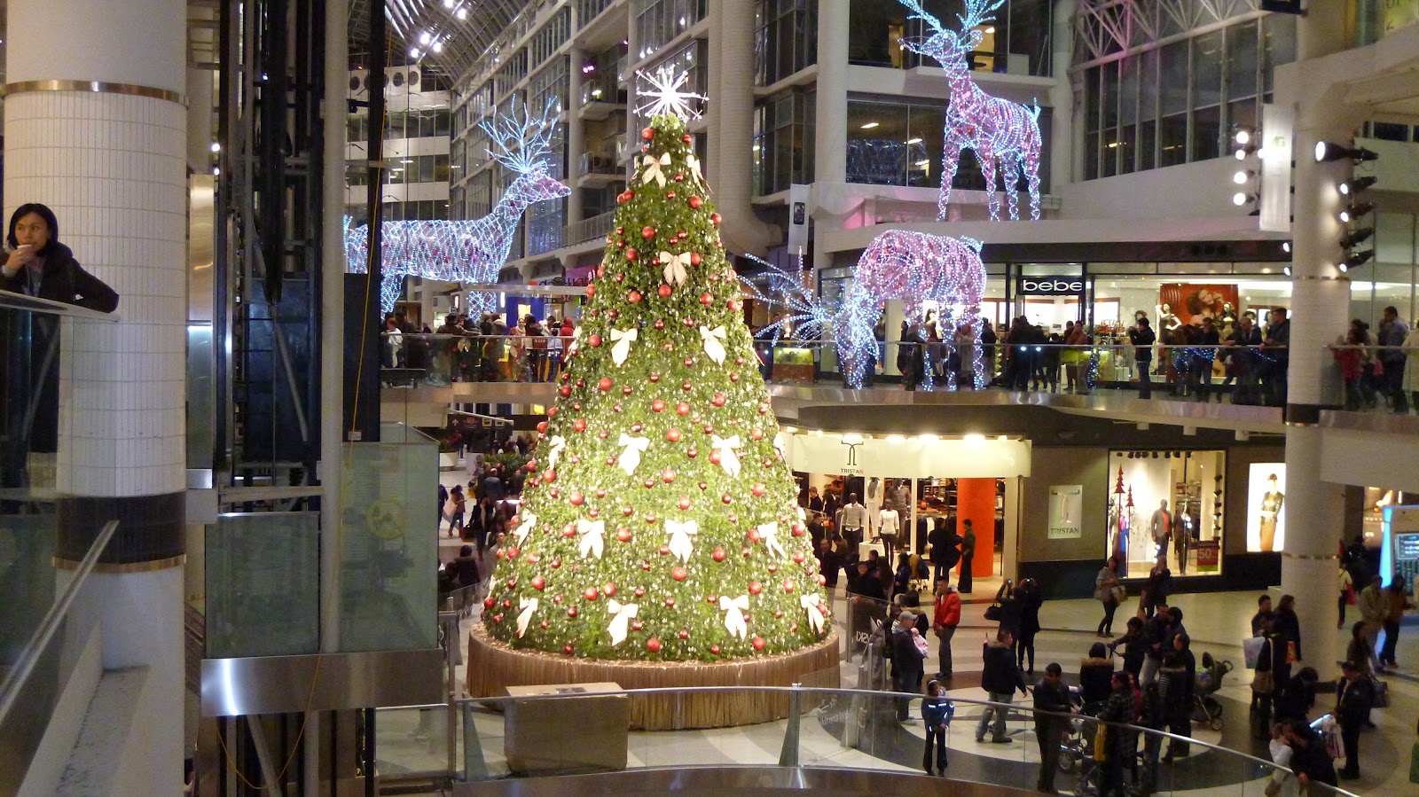 Interesting Places and Events: 2011 Toronto Christmas