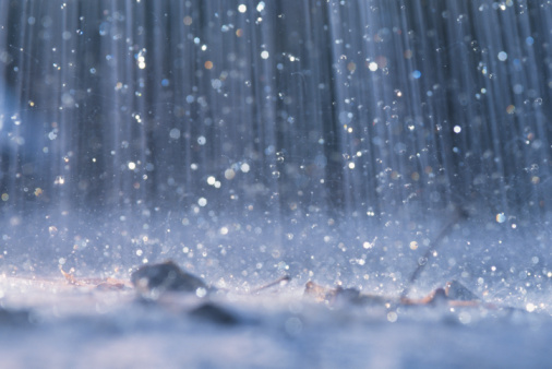 download free rain world physical copy download free rain world physical copy
