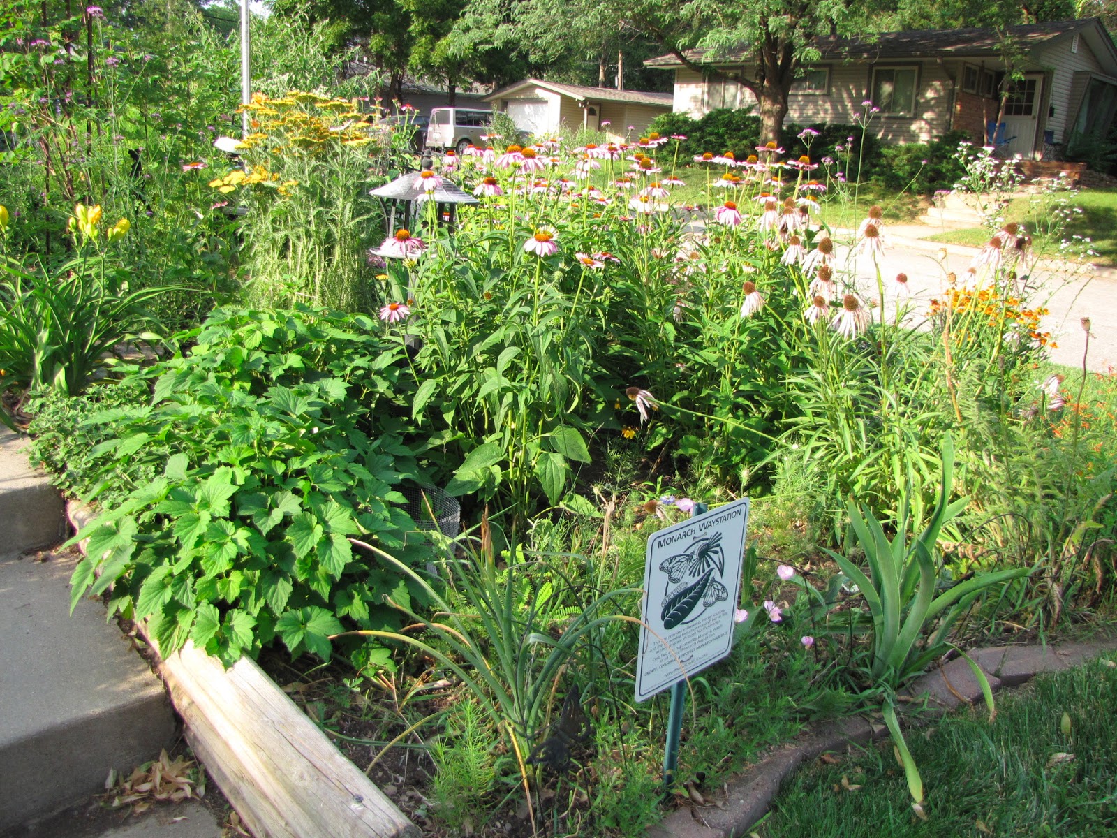 A Corner Garden: East Front Yard Flower Bed