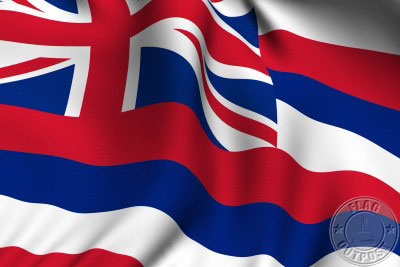 Hawaii Flag Pics