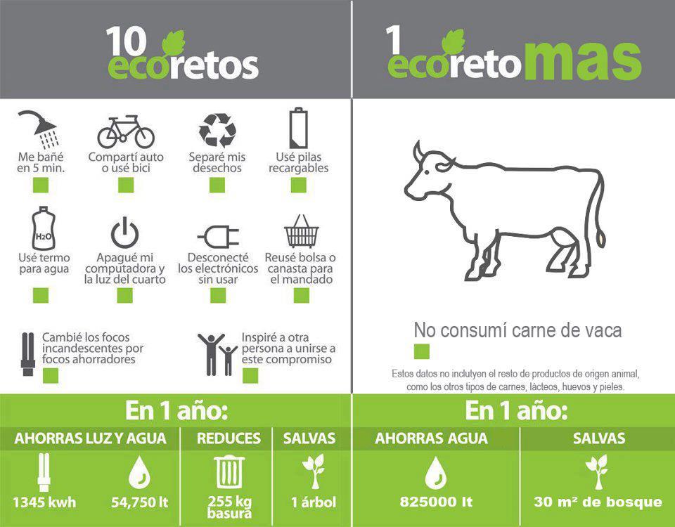 10 ecoretos + 1 ~ Mundo Feliz