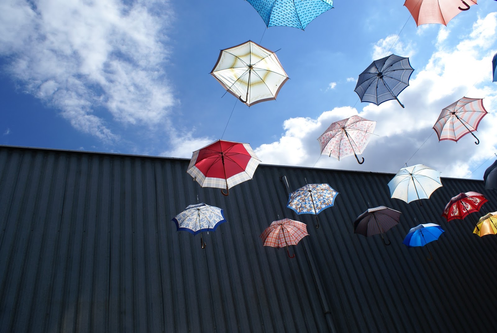 [Image: DSC08242.JPG]