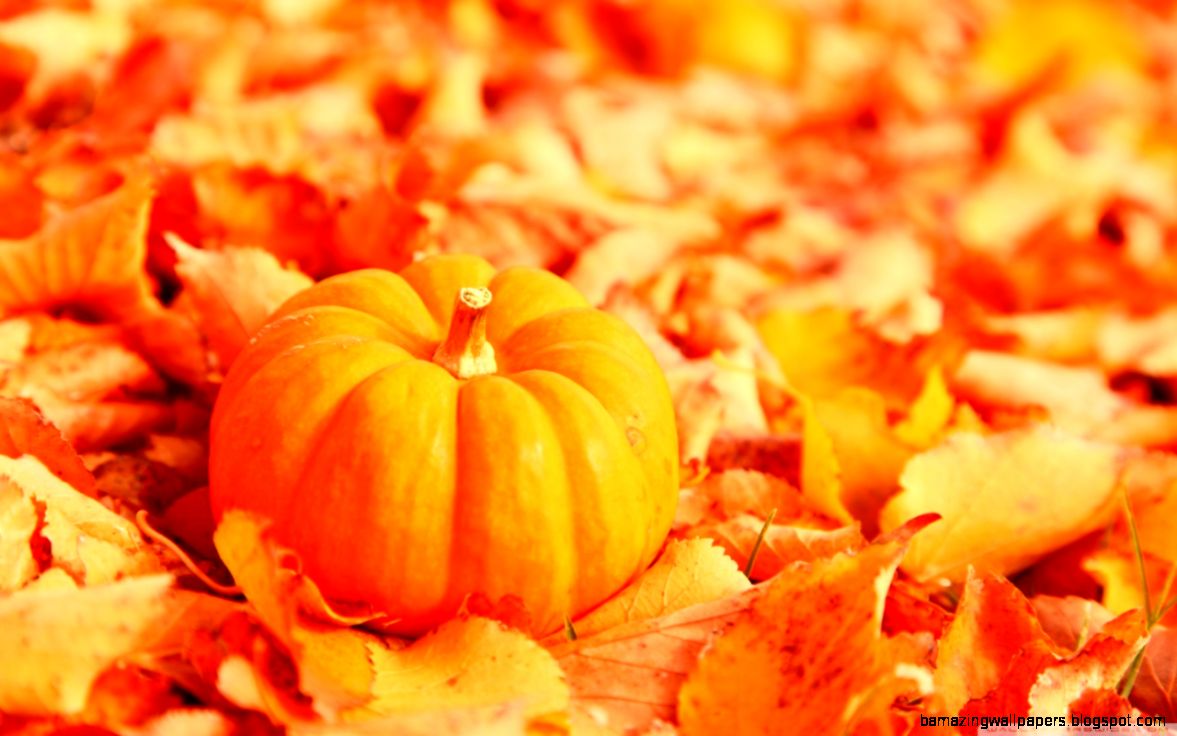 Pumpkin And Autumn Leaves HD desktop wallpaper High Definition Pumpkin And Autumn Leaves HD desktop wallpaper High Definition