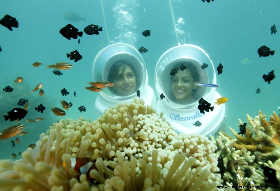 Sea Walk in Andaman Sea Walk Price in Andaman Sea Walk in Andaman Sea Walk in Andaman Sea Walk Price in Andaman Sea Walk in Andaman