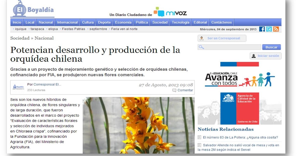 Image Result For Xem Vivo Vs En Vivo Online A Image Result For Xem Vivo Vs En Vivo Online A
